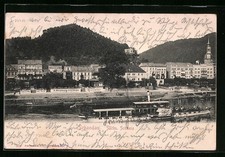 AK Schandau, Ortsansicht mit