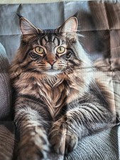 Deko Kissen Hülle 40x40 cm Quadratisch Bezug Katzen Kätzchen Maine Coon 