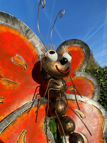 Schmetterling anthrazit - schmetterling,