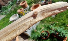 schönes, sehr helles