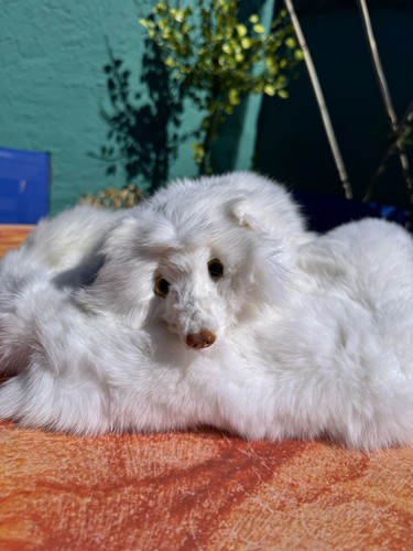 Polarfuchs fuchs stola - polarfuchs,