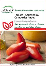 Tomatensamen - Andenhorn / Cornue des Andes von Saflax