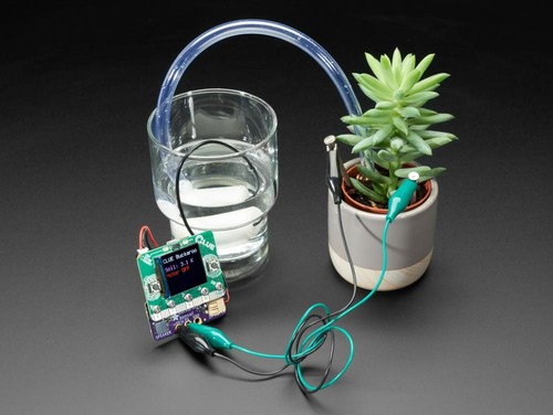 Adafruit bonsai buckaroo - adafruit,