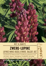Lupinus polyphyllus