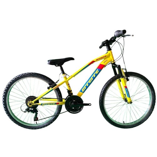 Herrenfahrrad mtb snake - herrenfahrrad, 24"