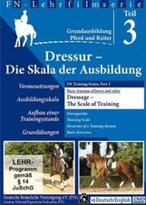 Dressur - Die Skala der