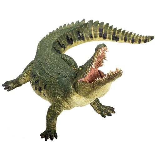 Krokodil gelenkkiefer - krokodil,
