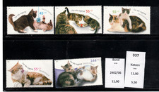 Katzen  **  ( 337 )