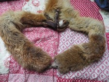 Fellkragen Pelzkragen aus