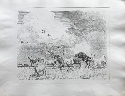 Karl adser 1912 - karl,
