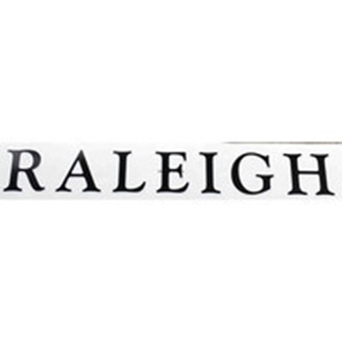 Raleigh moderner blockrahmen - moderner,