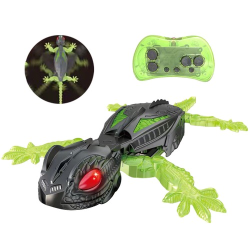 Wall crawler gecko - wall,