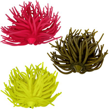 Black Cat Welsköder zum