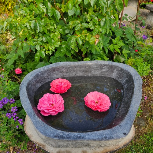 Schale schüssel lavastein - schüssel,