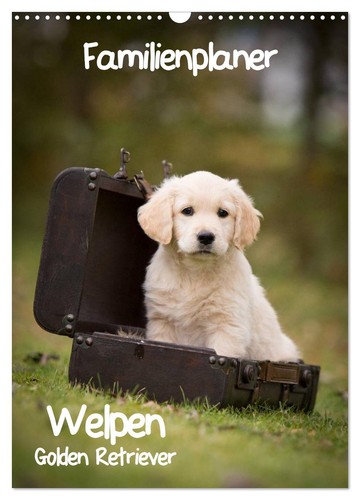 Familienplaner golden - familienplaner:,