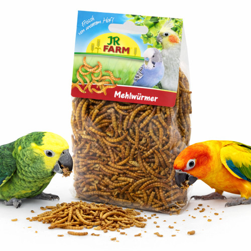 Farm mehlwürmer für - jr,