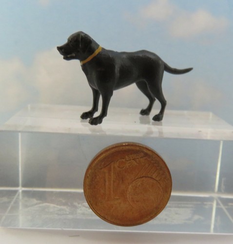 Schwarzer labrador - 1:45,