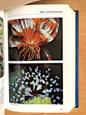 Mergus Meerwasser Atlas  -