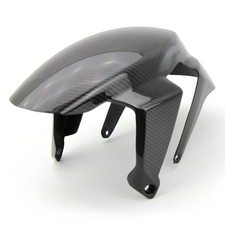 Carbon Kotflügel vorne für