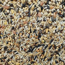 Versele Waldvogel Zeisig Extra