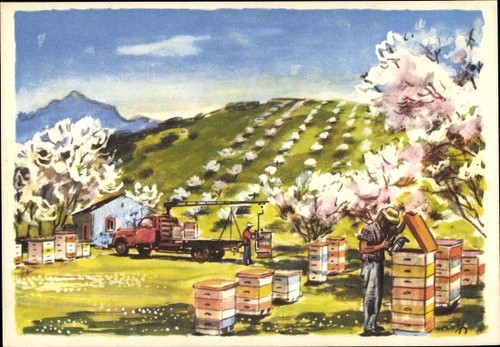 Künstler bienenzucht in - künstler,