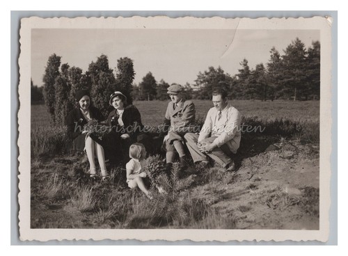Schorfheide brandenburg - schorfheide,