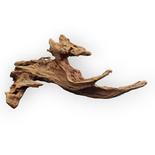 Mangrovenwurzel L - ca. 30 - 40cm - natürliche Holz Deko Aquarium Terrarium