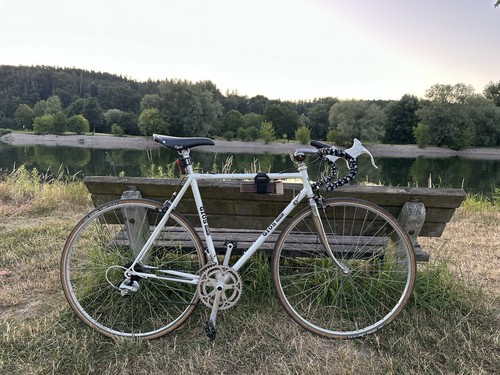 Gios compact rennrad 54 - rh,