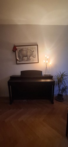 Kawai cn43 digitalpiano - kawai,