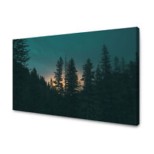 CANVAS Leinwandbilder Bilder XXL Wandbilder Kunstdruck Dämmernder Twilight Wald