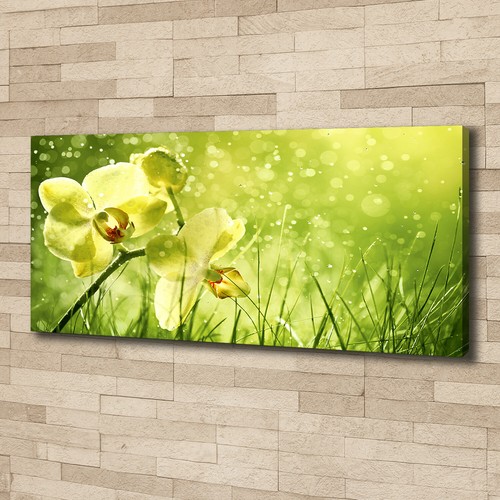 Leinwandbild kunst druck - leinwandbild, kunst-druck