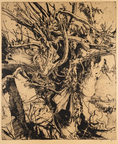 Janssen - janssen, (1929-1995)