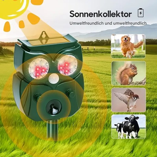 Reiher katzenabwehr - reiher,