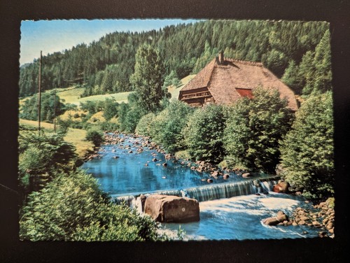Schwarzwald im - -,