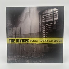 The Divided World You're