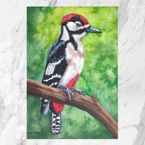 Aquarell specht gemälde - aquarell,