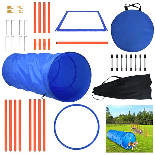 Hundetraining set hunde - hundetraining,