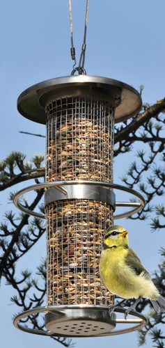 Edelstahl vogel futter - edelstahl,