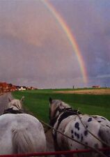 Juist 7 Ansichtskarten: Pferd, Regenbogen Nordsee Insel Sonne Meer Strand