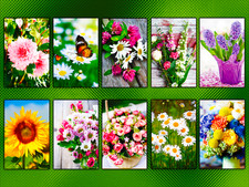 Blanko Glückwunschkarten