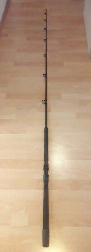 Shimano twin power 9ft - twin,