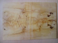 Super MASERAHORN Burl Decke Top 56x39,5x0,8 cm Gitarre Bass Tonholz tonewood