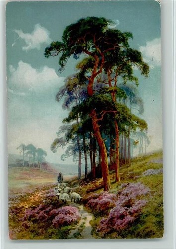Serie 2298 heidelandschaft - serie,