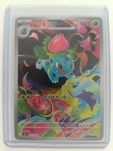 Pokémon full art - pokémon,