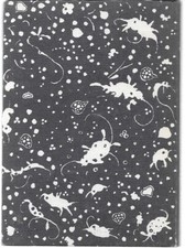 Paul Scheerbart Katerpoesie