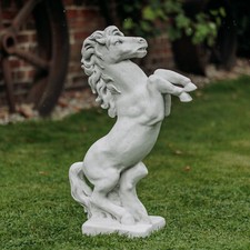 Pferd Hengst Stute Fohlen