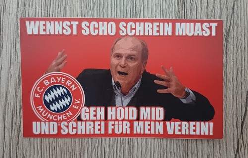 Südkurve münchen ultras - südkurve,