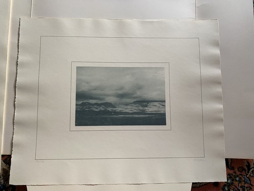 Gerhard richter blatt - gerhard, richter: