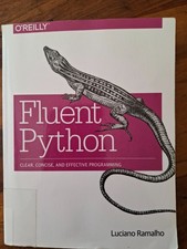 "Fluent Pythen-Clear, Concise