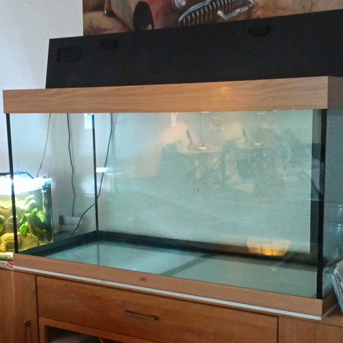 Rechteckiges glasaquarium - rechteckiges,